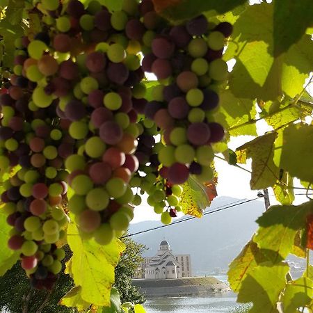 Cherry Flower Višegrad エクステリア 写真